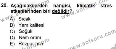 Temel Zootekni Dersi 2012 - 2013 Yılı (Vize) Ara Sınavı 20. Soru