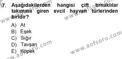 Temel Zootekni Dersi 2012 - 2013 Yılı (Vize) Ara Sınavı 7. Soru