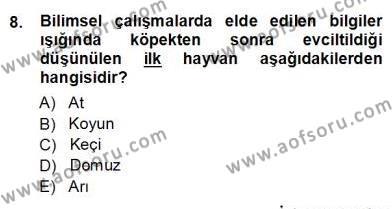 Temel Zootekni Dersi 2012 - 2013 Yılı (Vize) Ara Sınavı 8. Soru