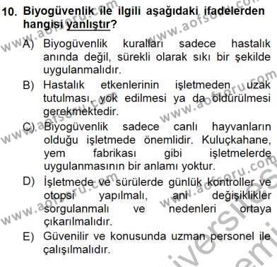 Temel Zootekni Dersi 2012 - 2013 Yılı (Final) Dönem Sonu Sınavı 10. Soru