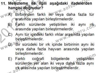 Temel Zootekni Dersi 2012 - 2013 Yılı (Final) Dönem Sonu Sınavı 11. Soru