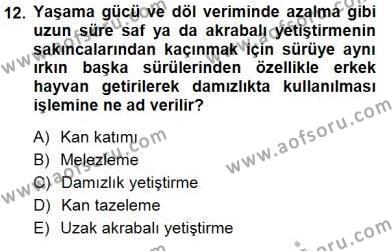 Temel Zootekni Dersi 2012 - 2013 Yılı (Final) Dönem Sonu Sınavı 12. Soru