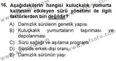 Temel Zootekni Dersi 2012 - 2013 Yılı (Final) Dönem Sonu Sınavı 16. Soru