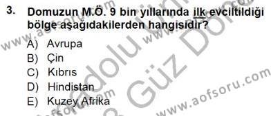 Temel Zootekni Dersi 2012 - 2013 Yılı (Final) Dönem Sonu Sınavı 3. Soru