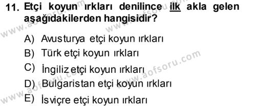 Temel Zootekni Dersi 2013 - 2014 Yılı (Vize) Ara Sınavı 11. Soru