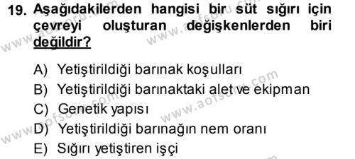 Temel Zootekni Dersi 2013 - 2014 Yılı (Vize) Ara Sınavı 19. Soru