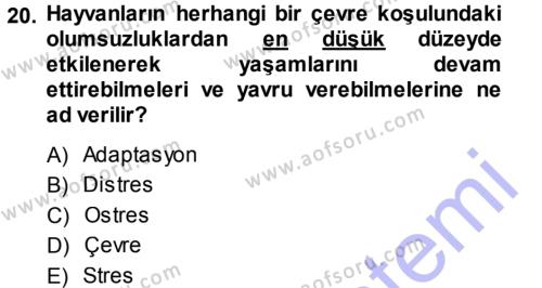 Temel Zootekni Dersi 2013 - 2014 Yılı (Vize) Ara Sınavı 20. Soru