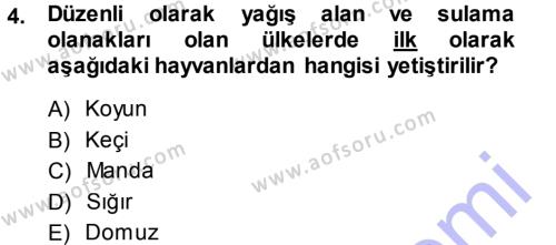 Temel Zootekni Dersi 2013 - 2014 Yılı (Vize) Ara Sınavı 4. Soru