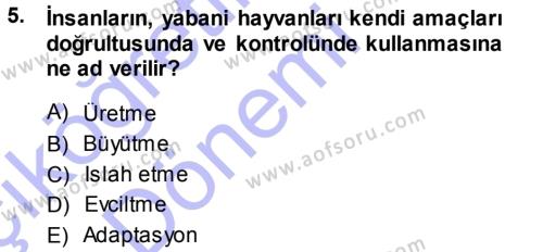Temel Zootekni Dersi 2013 - 2014 Yılı (Vize) Ara Sınavı 5. Soru