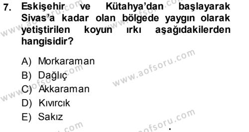 Temel Zootekni Dersi 2013 - 2014 Yılı (Vize) Ara Sınavı 7. Soru