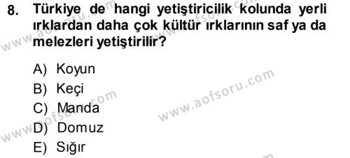 Temel Zootekni Dersi 2013 - 2014 Yılı (Vize) Ara Sınavı 8. Soru