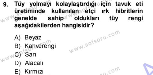 Temel Zootekni Dersi 2013 - 2014 Yılı (Vize) Ara Sınavı 9. Soru