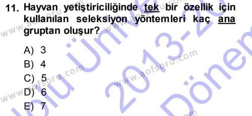 Temel Zootekni Dersi 2013 - 2014 Yılı (Final) Dönem Sonu Sınavı 11. Soru