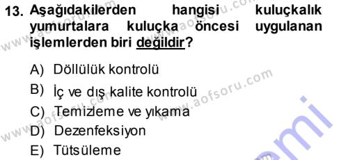 Temel Zootekni Dersi 2013 - 2014 Yılı (Final) Dönem Sonu Sınavı 13. Soru