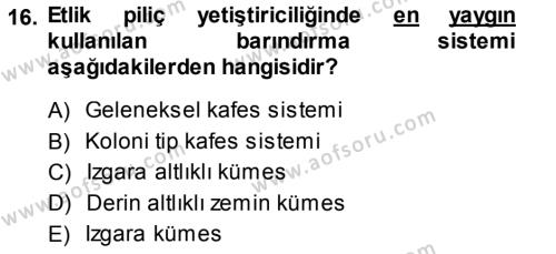 Temel Zootekni Dersi 2013 - 2014 Yılı (Final) Dönem Sonu Sınavı 16. Soru