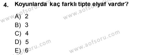 Temel Zootekni Dersi 2013 - 2014 Yılı (Final) Dönem Sonu Sınavı 4. Soru
