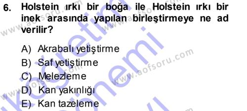 Temel Zootekni Dersi 2013 - 2014 Yılı (Final) Dönem Sonu Sınavı 6. Soru