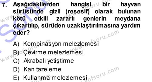 Temel Zootekni Dersi 2013 - 2014 Yılı (Final) Dönem Sonu Sınavı 7. Soru