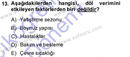 Temel Zootekni Dersi 2014 - 2015 Yılı (Vize) Ara Sınavı 13. Soru