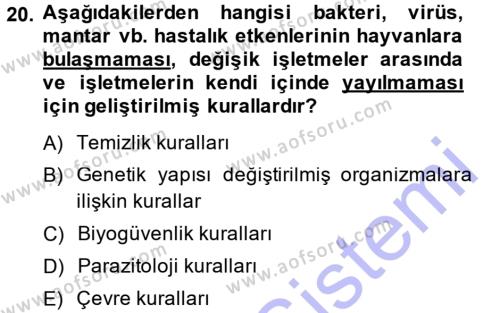 Temel Zootekni Dersi 2014 - 2015 Yılı (Vize) Ara Sınavı 20. Soru