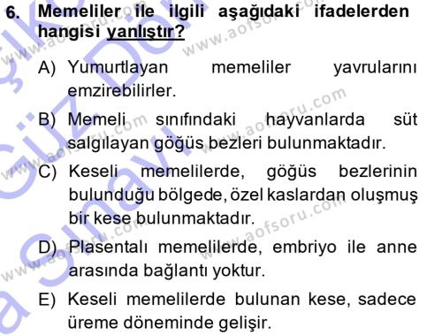 Temel Zootekni Dersi 2014 - 2015 Yılı (Vize) Ara Sınavı 6. Soru
