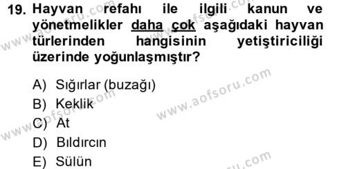 Temel Zootekni Dersi 2014 - 2015 Yılı (Final) Dönem Sonu Sınavı 19. Soru