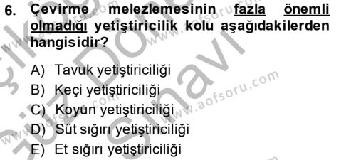 Temel Zootekni Dersi 2014 - 2015 Yılı (Final) Dönem Sonu Sınavı 6. Soru