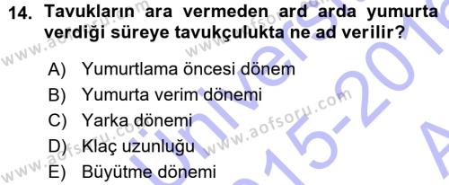 Temel Zootekni Dersi 2015 - 2016 Yılı (Vize) Ara Sınavı 14. Soru