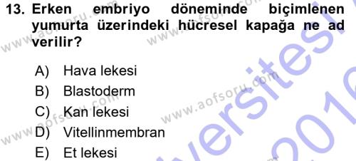 Temel Zootekni Dersi 2015 - 2016 Yılı (Final) Dönem Sonu Sınavı 13. Soru