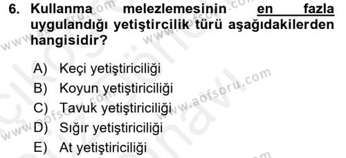 Temel Zootekni Dersi 2016 - 2017 Yılı (Final) Dönem Sonu Sınavı 6. Soru