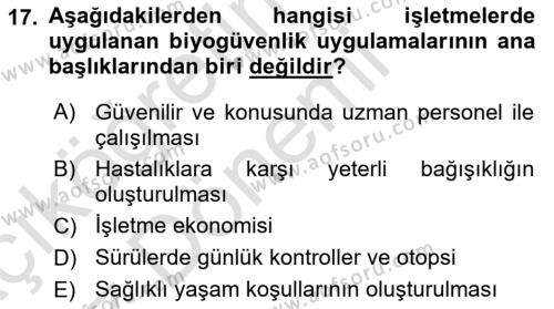 Temel Zootekni Dersi 2017 - 2018 Yılı (Vize) Ara Sınavı 17. Soru