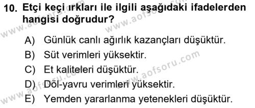 Temel Zootekni Dersi 2019 - 2020 Yılı (Vize) Ara Sınavı 10. Soru