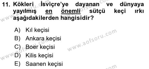 Temel Zootekni Dersi 2019 - 2020 Yılı (Vize) Ara Sınavı 11. Soru