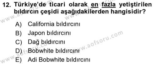 Temel Zootekni Dersi 2019 - 2020 Yılı (Vize) Ara Sınavı 12. Soru