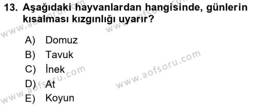 Temel Zootekni Dersi 2019 - 2020 Yılı (Vize) Ara Sınavı 13. Soru