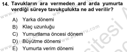 Temel Zootekni Dersi 2019 - 2020 Yılı (Vize) Ara Sınavı 14. Soru