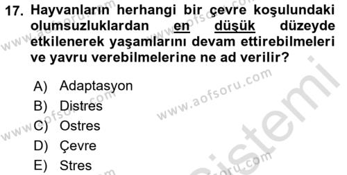 Temel Zootekni Dersi 2019 - 2020 Yılı (Vize) Ara Sınavı 17. Soru