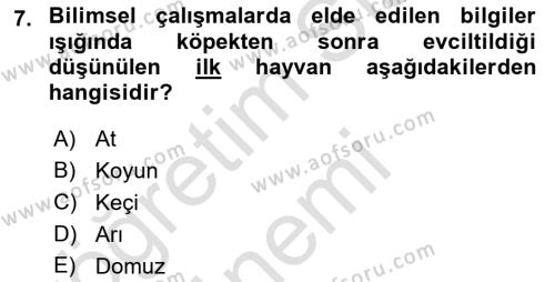 Temel Zootekni Dersi 2019 - 2020 Yılı (Vize) Ara Sınavı 7. Soru