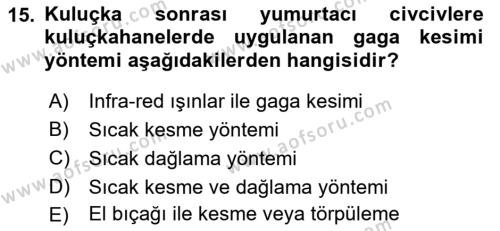 Temel Zootekni Dersi 2021 - 2022 Yılı Yaz Okulu Sınavı 15. Soru