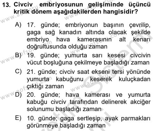 Temel Zootekni Dersi 2023 - 2024 Yılı (Final) Dönem Sonu Sınavı 13. Soru