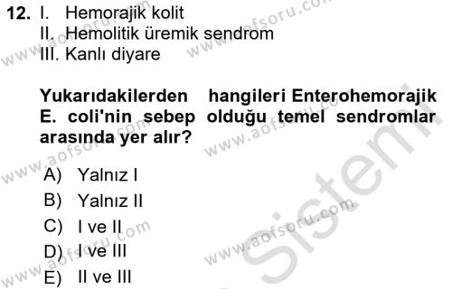 Hijyen ve Sanitasyon Dersi 2020 - 2021 Yılı Yaz Okulu Sınavı 12. Soru