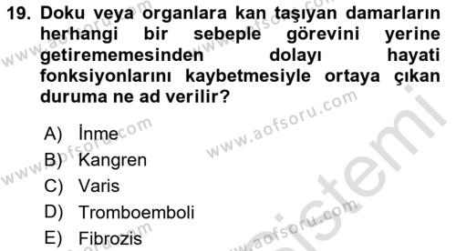 Hijyen ve Sanitasyon Dersi 2020 - 2021 Yılı Yaz Okulu Sınavı 19. Soru