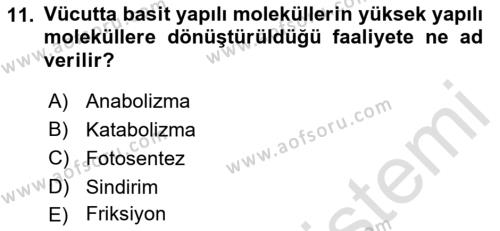 Hijyen ve Sanitasyon Dersi 2021 - 2022 Yılı (Vize) Ara Sınavı 11. Soru