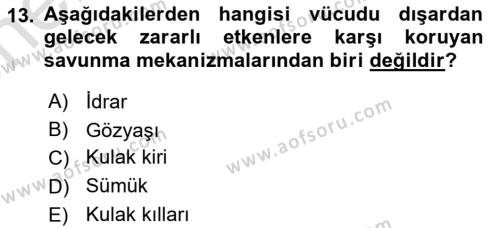 Hijyen ve Sanitasyon Dersi 2021 - 2022 Yılı (Vize) Ara Sınavı 13. Soru