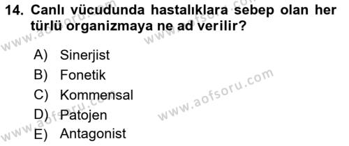 Hijyen ve Sanitasyon Dersi 2021 - 2022 Yılı (Vize) Ara Sınavı 14. Soru