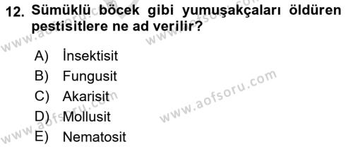 Hijyen ve Sanitasyon Dersi 2021 - 2022 Yılı (Final) Dönem Sonu Sınavı 12. Soru