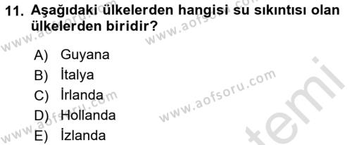 Hijyen ve Sanitasyon Dersi 2021 - 2022 Yılı Yaz Okulu Sınavı 11. Soru