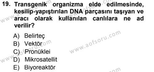 Temel Veteriner Genetik Dersi 2012 - 2013 Yılı (Final) Dönem Sonu Sınavı 19. Soru