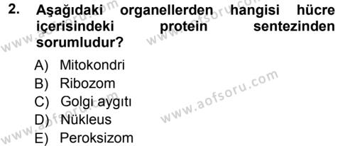 Temel Veteriner Genetik Dersi 2012 - 2013 Yılı (Final) Dönem Sonu Sınavı 2. Soru