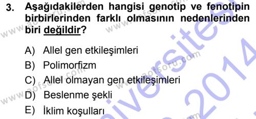Temel Veteriner Genetik Dersi 2013 - 2014 Yılı (Vize) Ara Sınavı 3. Soru